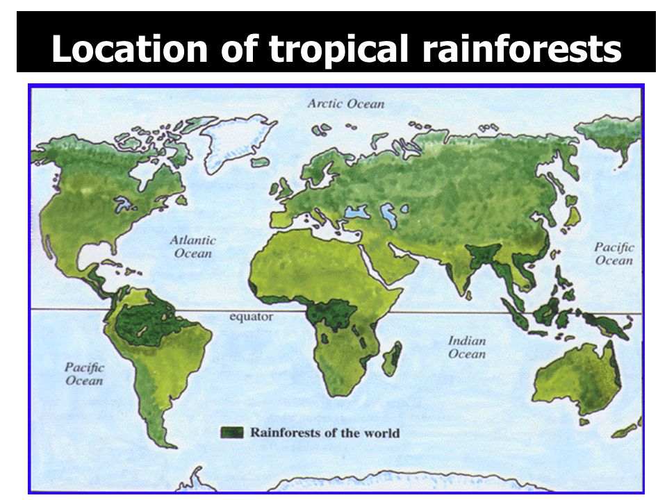 Location of tropical rainforests