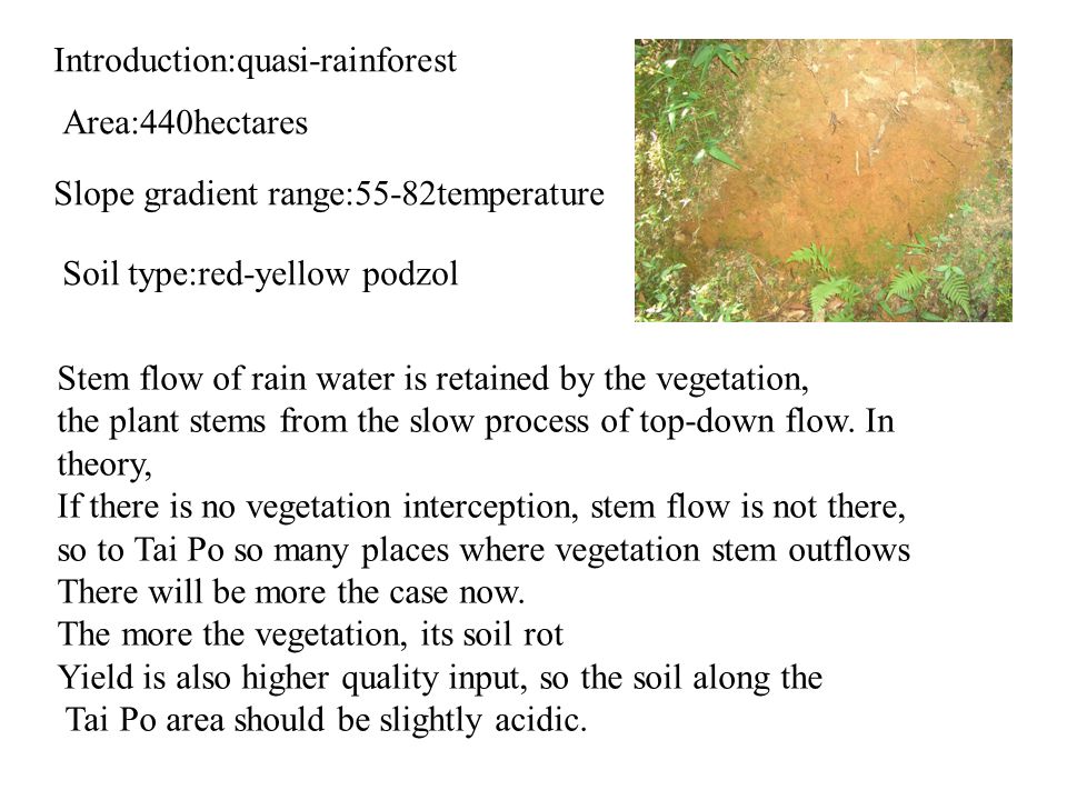 Introduction:quasi-rainforest Area:440hectares Slope gradient range:55-82temperature Soil type:red-yellow podzol Stem flow of rain water is retained by the vegetation, the plant stems from the slow process of top-down flow.