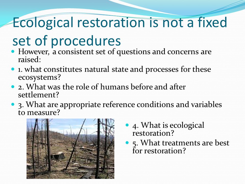 ecological restoration Ecological restoration institute the ecological restoration institute (eri) is nationally recognized for mobilizing the unique assets of a university to help solve the problem of unnaturally severe wildfire and degraded forest health throughout the american west. ecological restoration Ecological restoration institute the ecological restoration institute (eri) is nationally recognized for mobilizing the unique assets of a university to help solve the problem of unnaturally severe wildfire and degraded forest health throughout the american west.