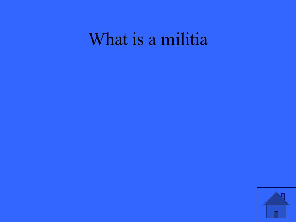What is a militia