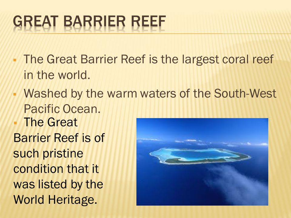  The Great Barrier Reef is the largest coral reef in the world.