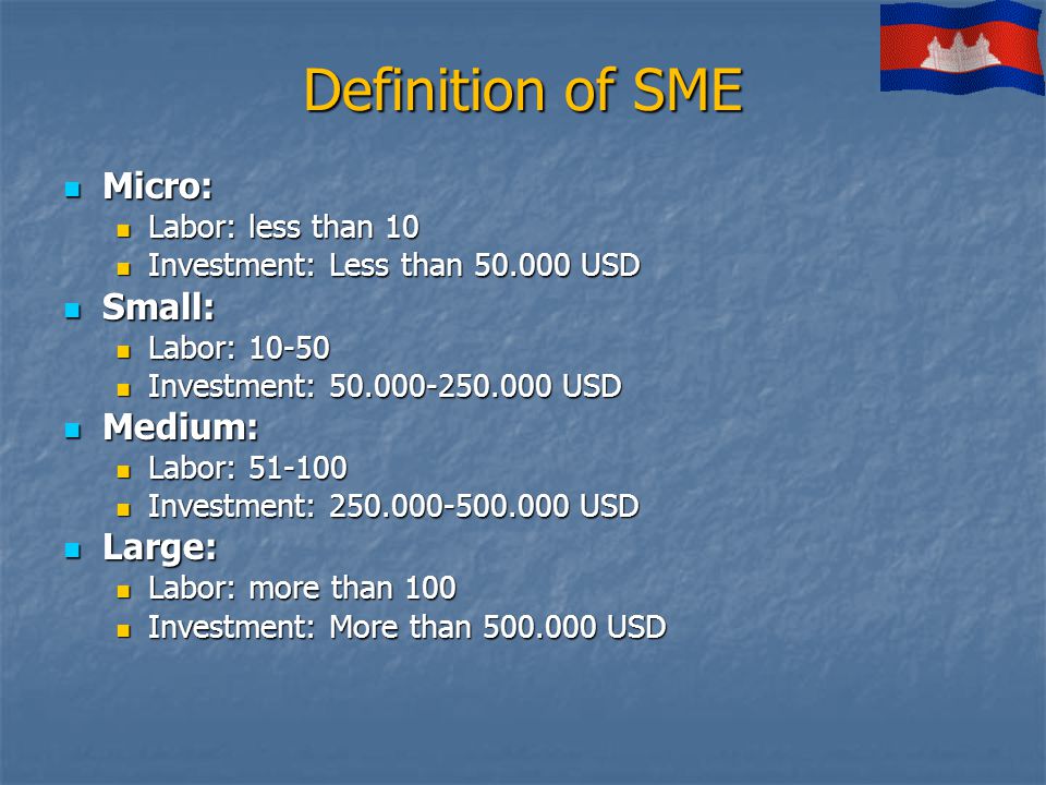 Definition of SME Micro: Micro: Labor: less than 10 Labor: less than 10 Investment: Less than USD Investment: Less than USD Small: Small: Labor: Labor: Investment: USD Investment: USD Medium: Medium: Labor: Labor: Investment: USD Investment: USD Large: Large: Labor: more than 100 Labor: more than 100 Investment: More than USD Investment: More than USD