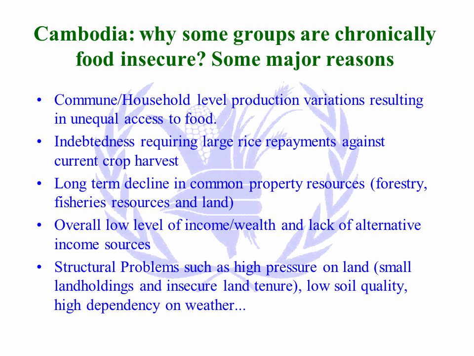 Food Security Situation in Cambodia Production: –National: surplus since 1995 –Household: within surplus communes over 20% of hh are chronically food insecure Access: –Low purchasing power –Poor marketing system Utilization: lack of food diversification