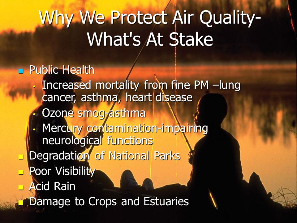 Public Health Public Health Increased mortality from fine PM –lung cancer, asthma, heart disease Increased mortality from fine PM –lung cancer, asthma, heart disease Ozone smog-asthma Ozone smog-asthma Mercury contamination-impairing neurological functions Mercury contamination-impairing neurological functions Degradation of National Parks Degradation of National Parks Poor Visibility Poor Visibility Acid Rain Acid Rain Damage to Crops and Estuaries Damage to Crops and Estuaries Why We Protect Air Quality- What s At Stake