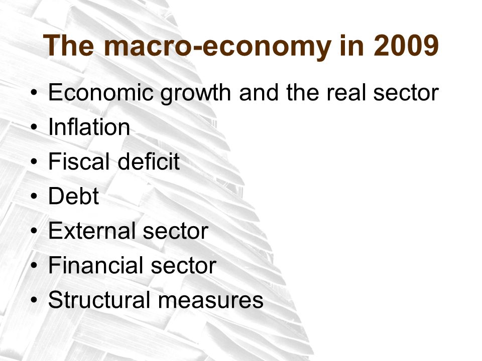 The macro-economy in 2009 Economic growth and the real sector Inflation Fiscal deficit Debt External sector Financial sector Structural measures