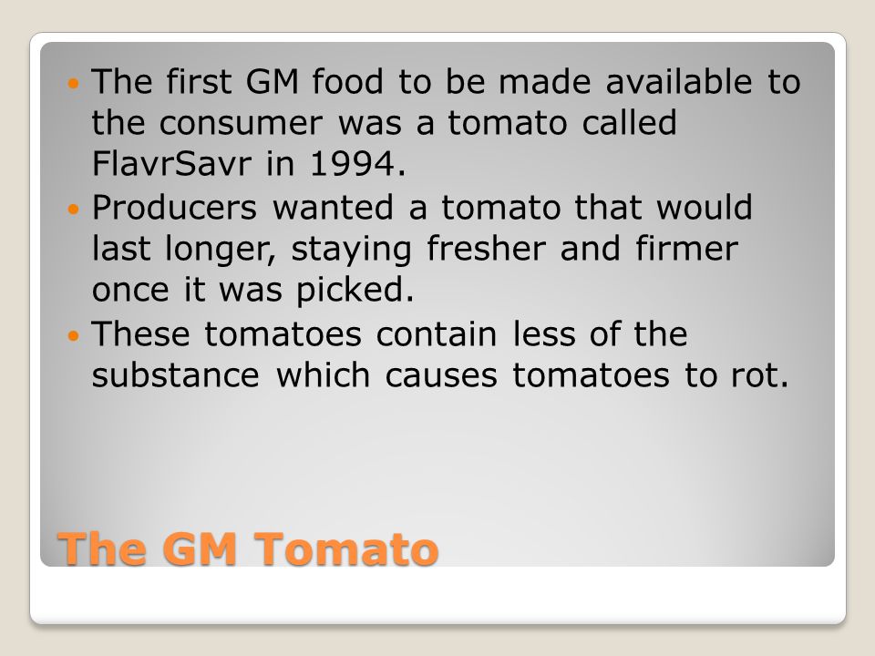 The GM Tomato The first GM food to be made available to the consumer was a tomato called FlavrSavr in 1994.