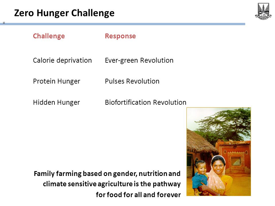 Zero Hunger Challenge ChallengeResponse Calorie deprivationEver-green Revolution Protein HungerPulses Revolution Hidden HungerBiofortification Revolution Family farming based on gender, nutrition and climate sensitive agriculture is the pathway for food for all and forever