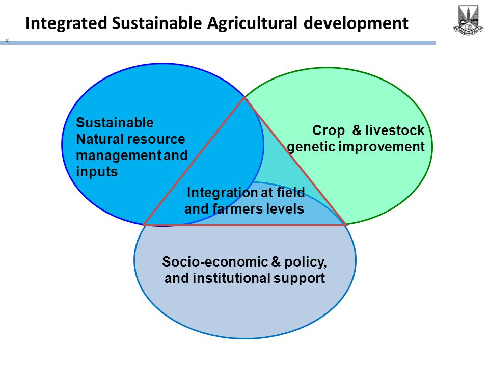 Integrated Sustainable Agricultural development Socio-economic & policy, and institutional support Sustainable Natural resource management and inputs Crop & livestock genetic improvement Integration at field and farmers levels