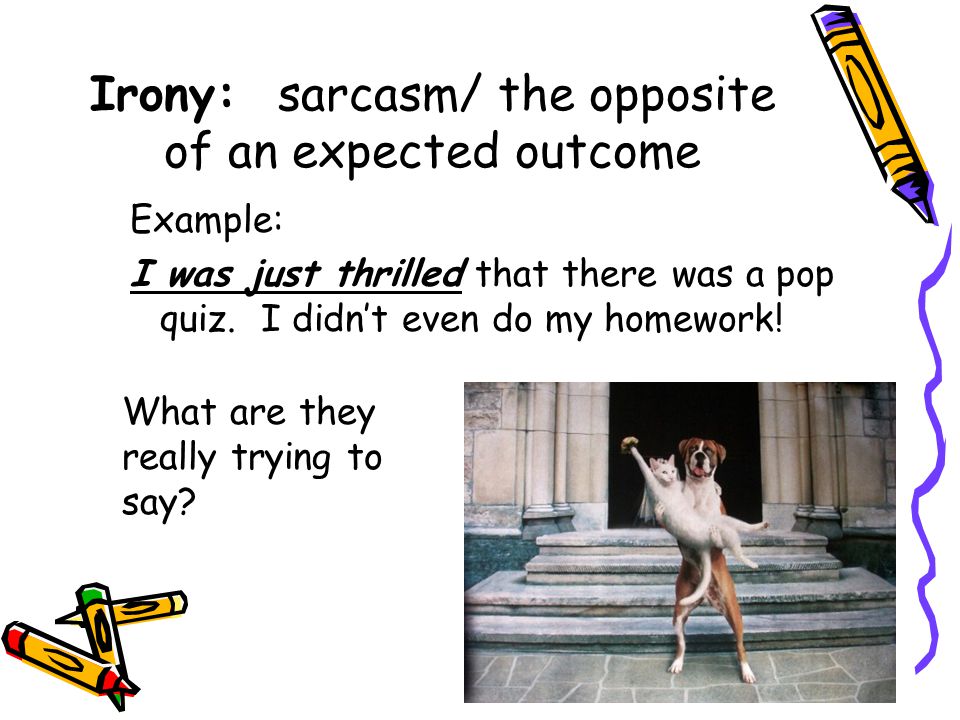 Best Essay Ever Written
