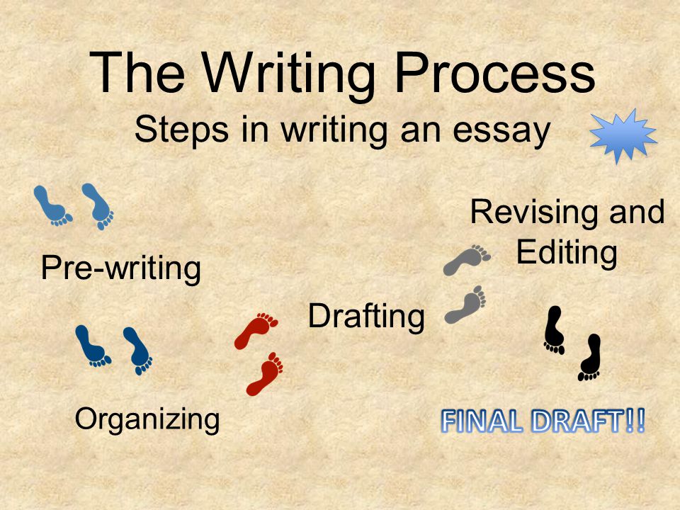 Writing process steps essay