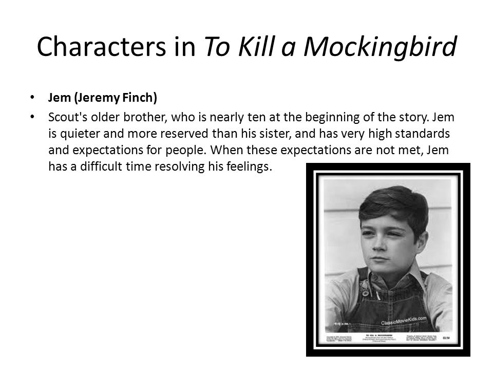 Essay To Kill A Mockingbird