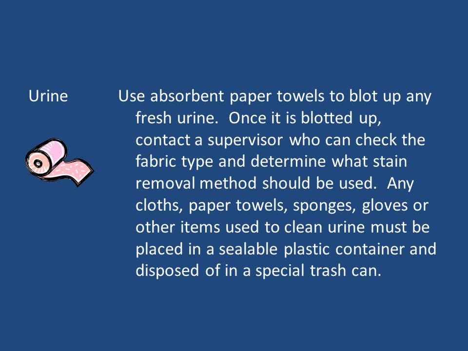 UrineUse absorbent paper towels to blot up any fresh urine.