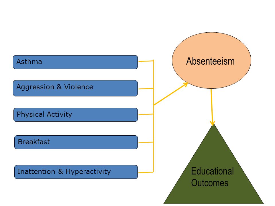 Asthma Aggression & Violence Physical Activity Breakfast Inattention & Hyperactivity Absenteeism Educational Outcomes