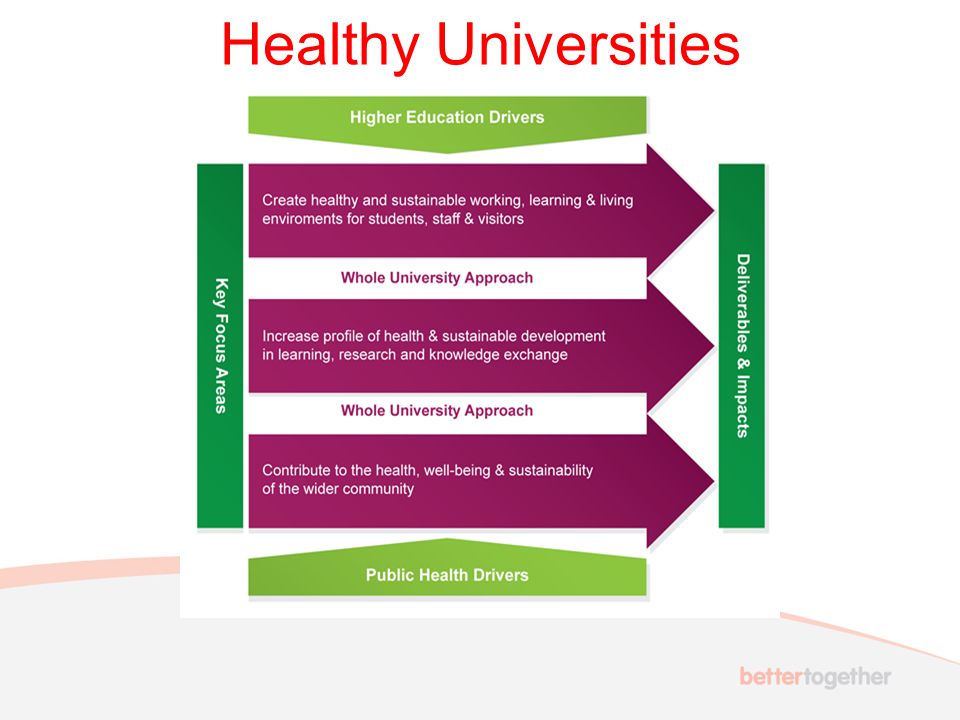 Healthy Universities