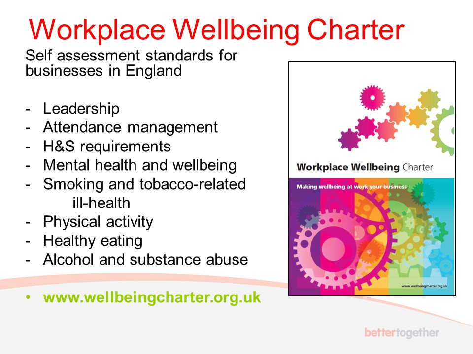Workplace Wellbeing Charter Self assessment standards for businesses in England -Leadership -Attendance management -H&S requirements -Mental health and wellbeing -Smoking and tobacco-related ill-health -Physical activity -Healthy eating -Alcohol and substance abuse