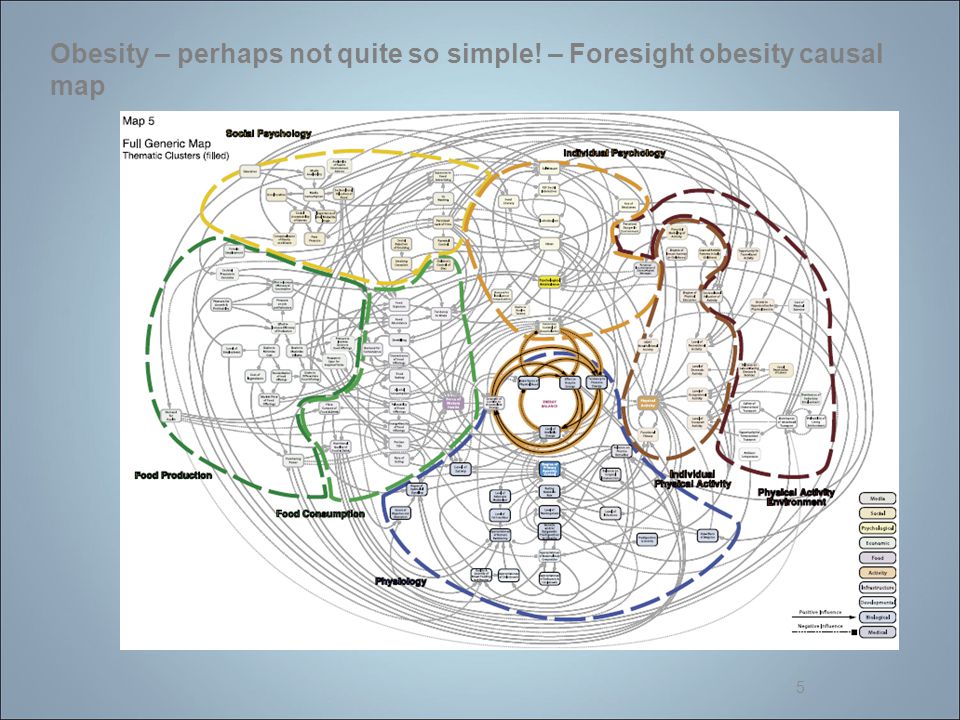 5 Obesity – perhaps not quite so simple! – Foresight obesity causal map