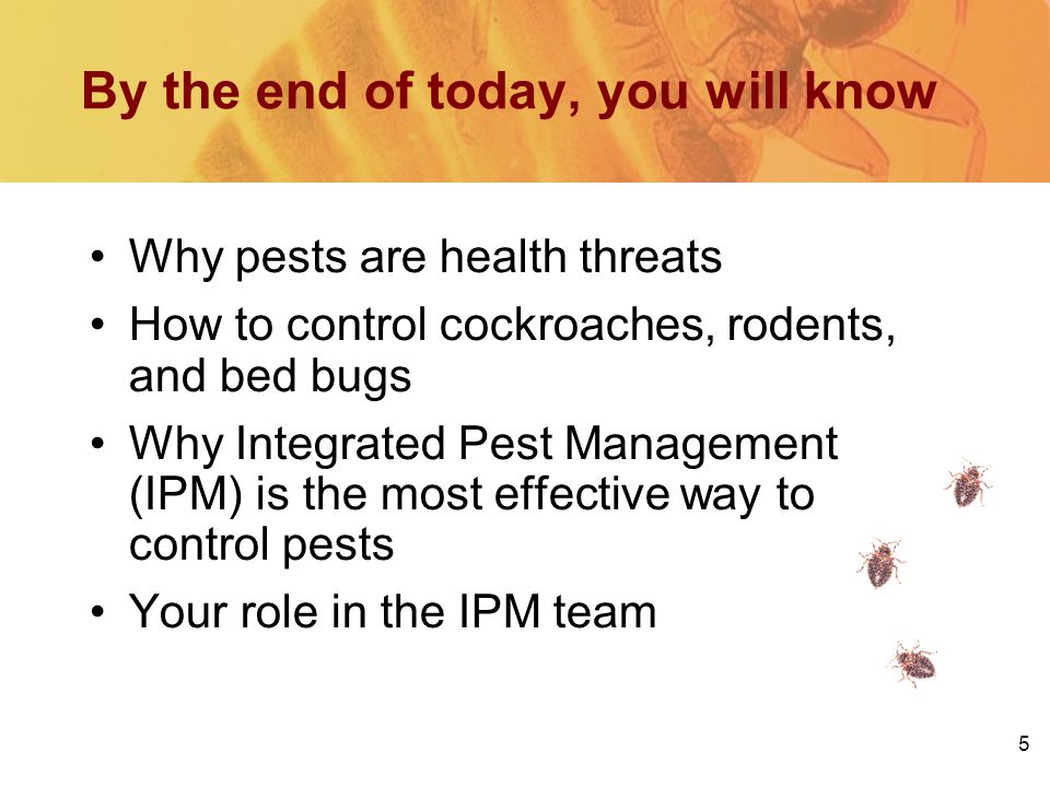 5 By the end of today, you will know Why pests are health threats How to control cockroaches, rodents, and bed bugs Why Integrated Pest Management (IPM) is the most effective way to control pests Your role in the IPM team