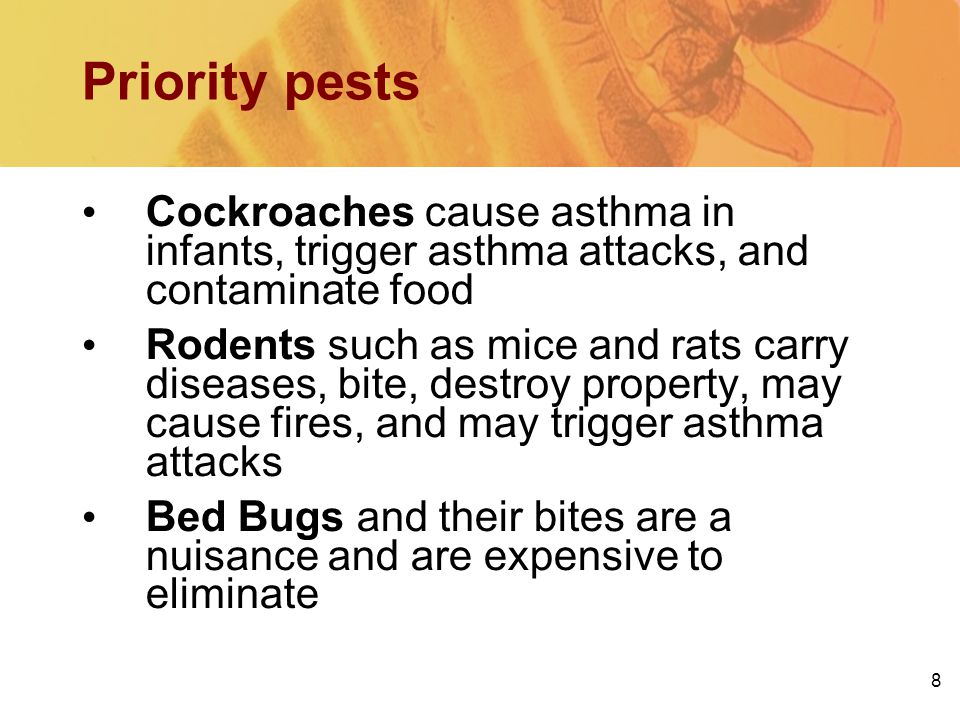 8 Priority pests Cockroaches cause asthma in infants, trigger asthma attacks, and contaminate food Rodents such as mice and rats carry diseases, bite, destroy property, may cause fires, and may trigger asthma attacks Bed Bugs and their bites are a nuisance and are expensive to eliminate