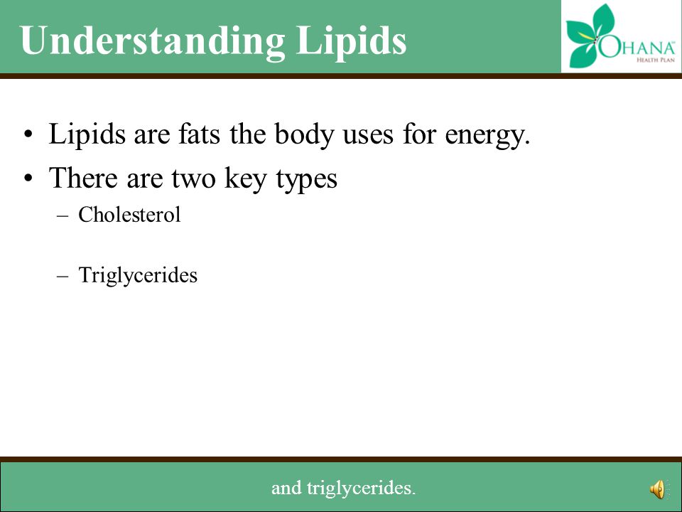 Understanding Lipids Lipids are fats the body uses for energy.