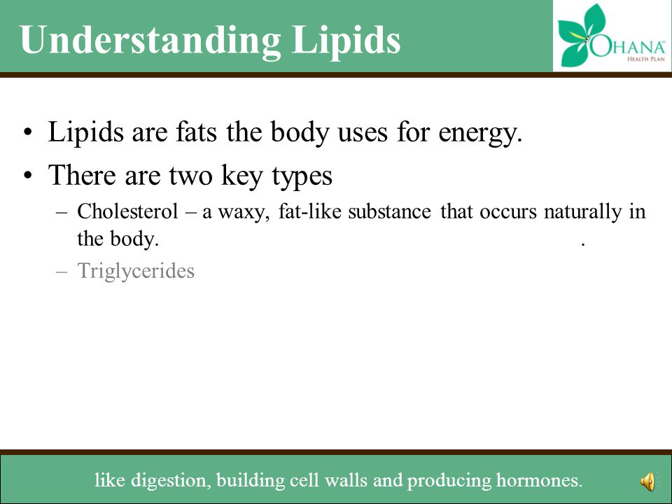 Understanding Lipids Lipids are fats the body uses for energy.