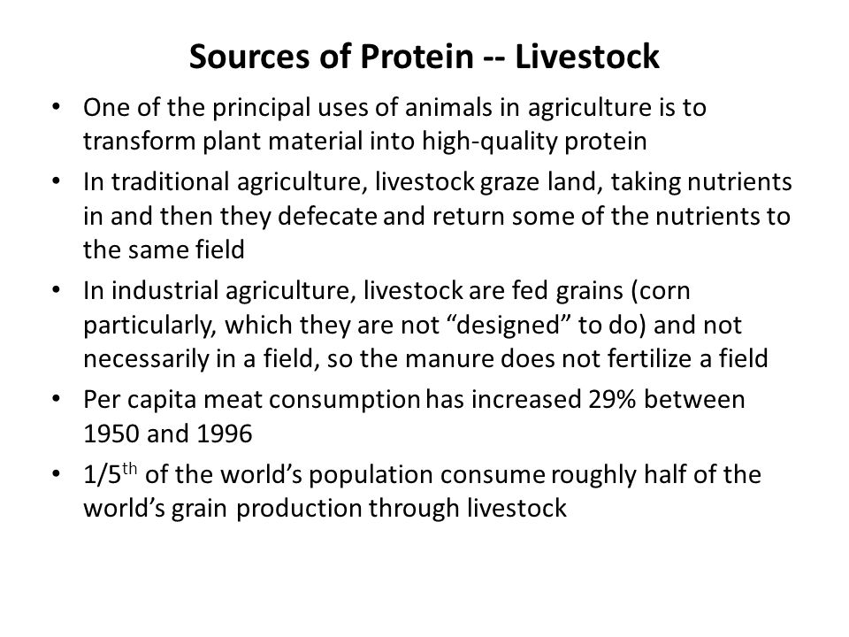 Sources of Protein -- Livestock One of the principal uses of animals in agriculture is to transform plant material into high-quality protein In traditional agriculture, livestock graze land, taking nutrients in and then they defecate and return some of the nutrients to the same field In industrial agriculture, livestock are fed grains (corn particularly, which they are not designed to do) and not necessarily in a field, so the manure does not fertilize a field Per capita meat consumption has increased 29% between 1950 and /5 th of the world’s population consume roughly half of the world’s grain production through livestock