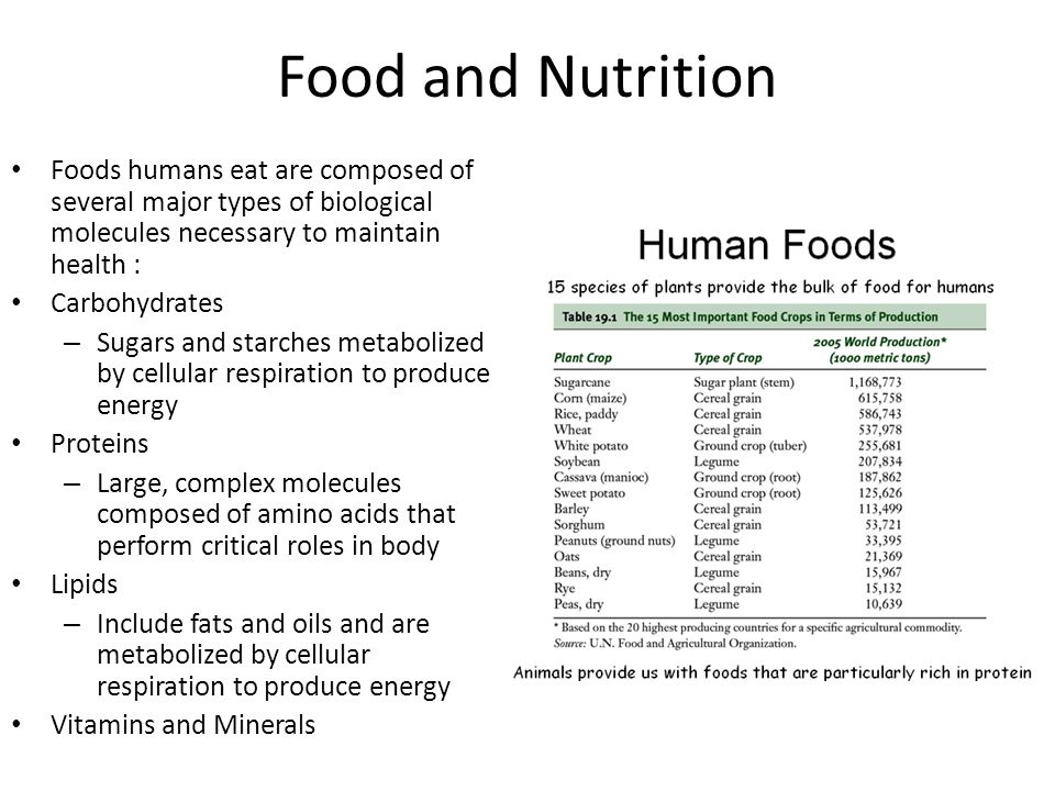 Food and Nutrition Foods humans eat are composed of several major types of biological molecules necessary to maintain health : Carbohydrates – Sugars and starches metabolized by cellular respiration to produce energy Proteins – Large, complex molecules composed of amino acids that perform critical roles in body Lipids – Include fats and oils and are metabolized by cellular respiration to produce energy Vitamins and Minerals