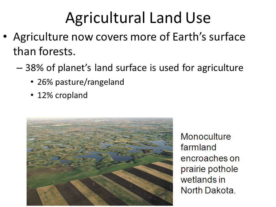 Agricultural Land Use Agriculture now covers more of Earth’s surface than forests.