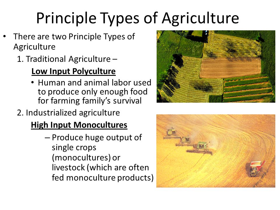 Principle Types of Agriculture There are two Principle Types of Agriculture 1.