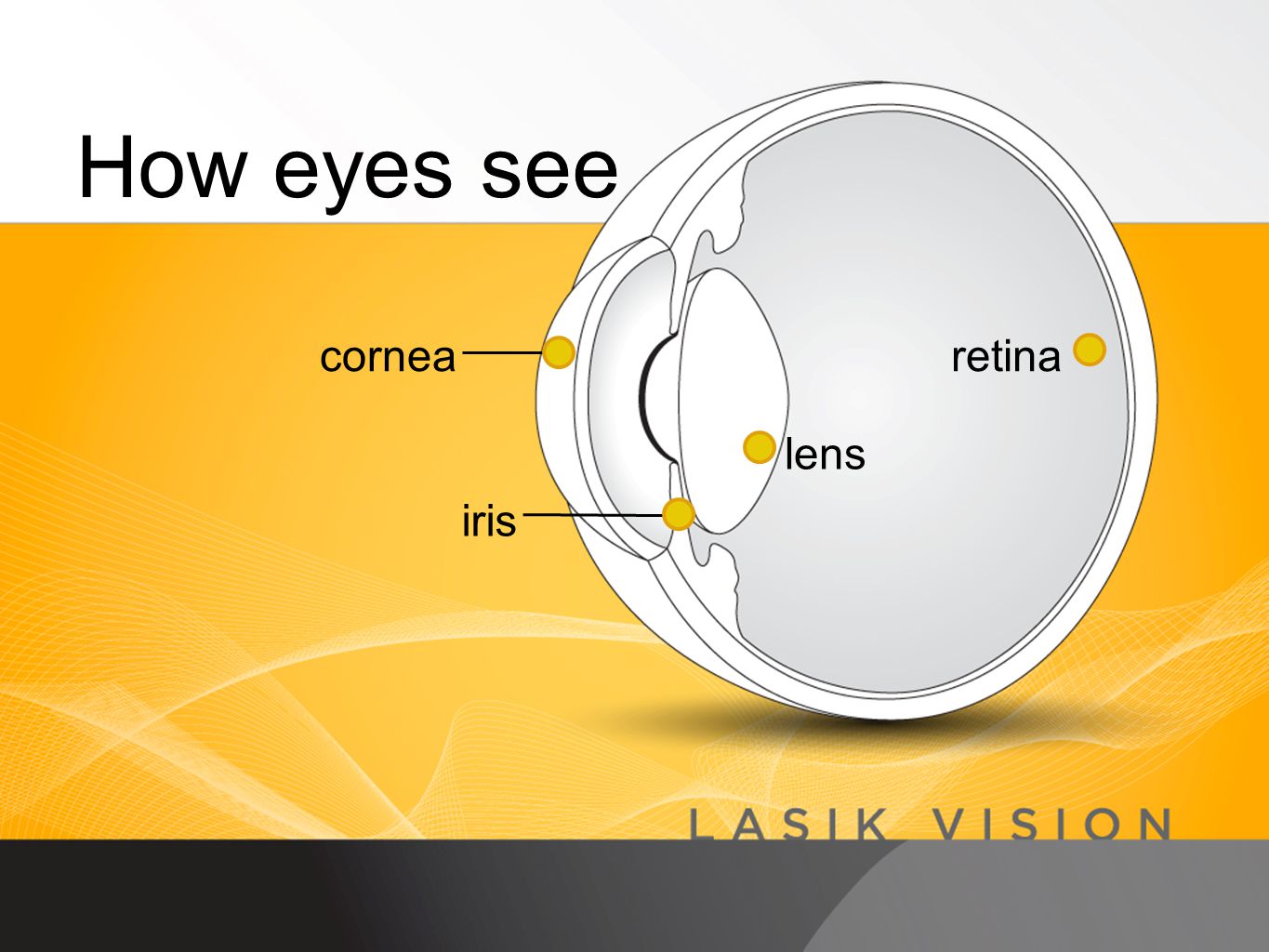 How eyes see retina lens cornea iris
