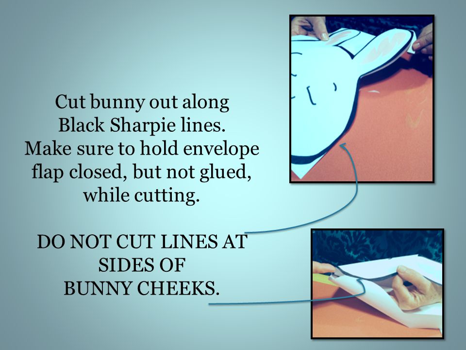 Cut bunny out along Black Sharpie lines.