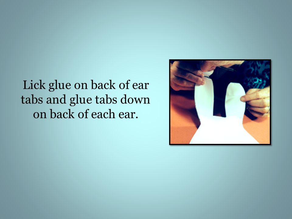 Lick glue on back of ear tabs and glue tabs down on back of each ear.