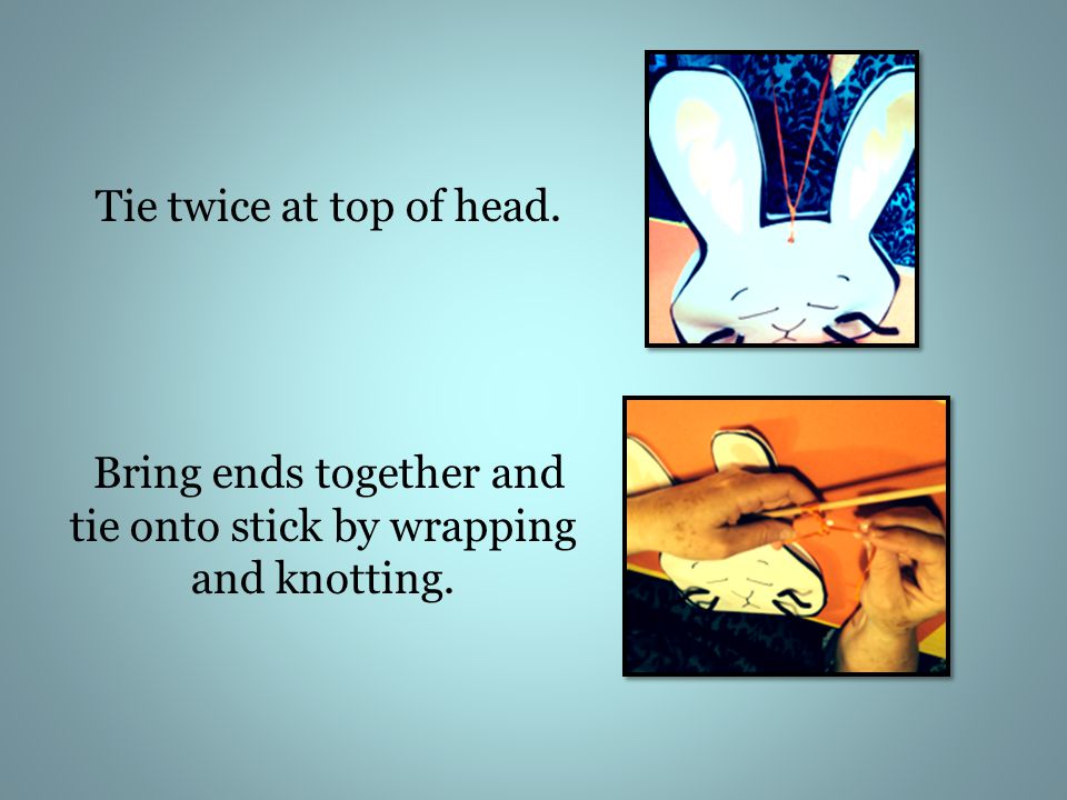 Tie twice at top of head. Bring ends together and tie onto stick by wrapping and knotting.