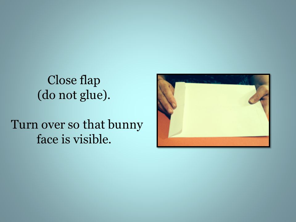 Close flap (do not glue). Turn over so that bunny face is visible.