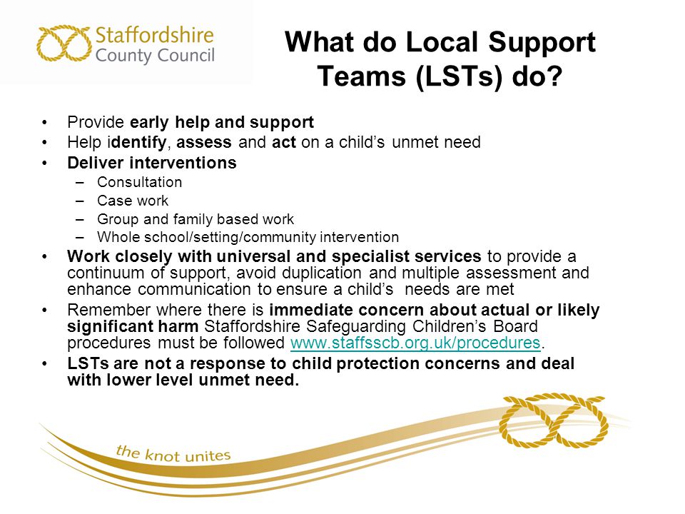 What do Local Support Teams (LSTs) do.