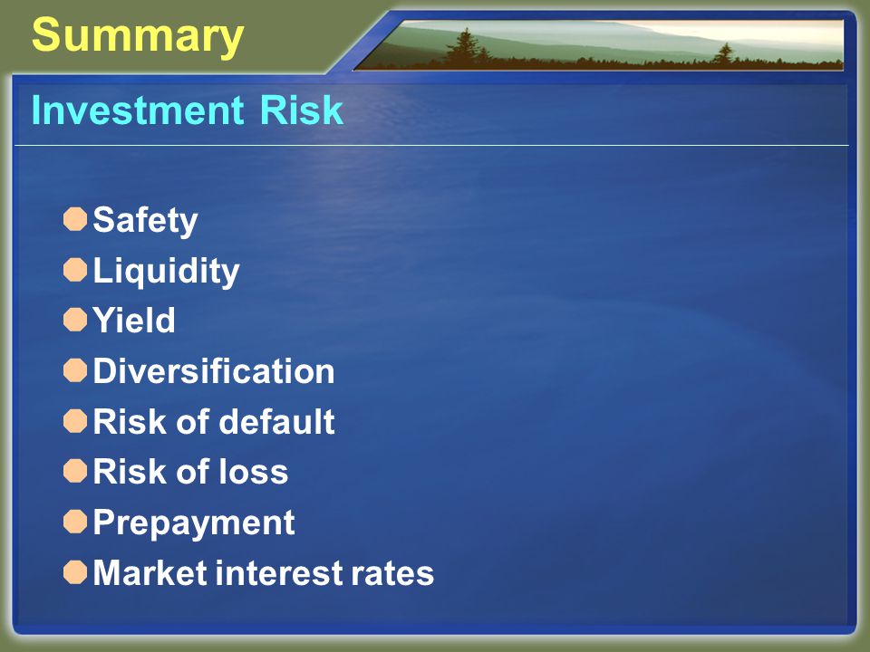 Summary Investment Risk  Safety  Liquidity  Yield  Diversification  Risk of default  Risk of loss  Prepayment  Market interest rates