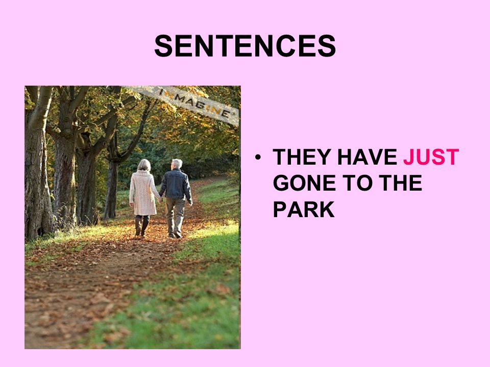 SENTENCES THEY HAVE JUST GONE TO THE PARK