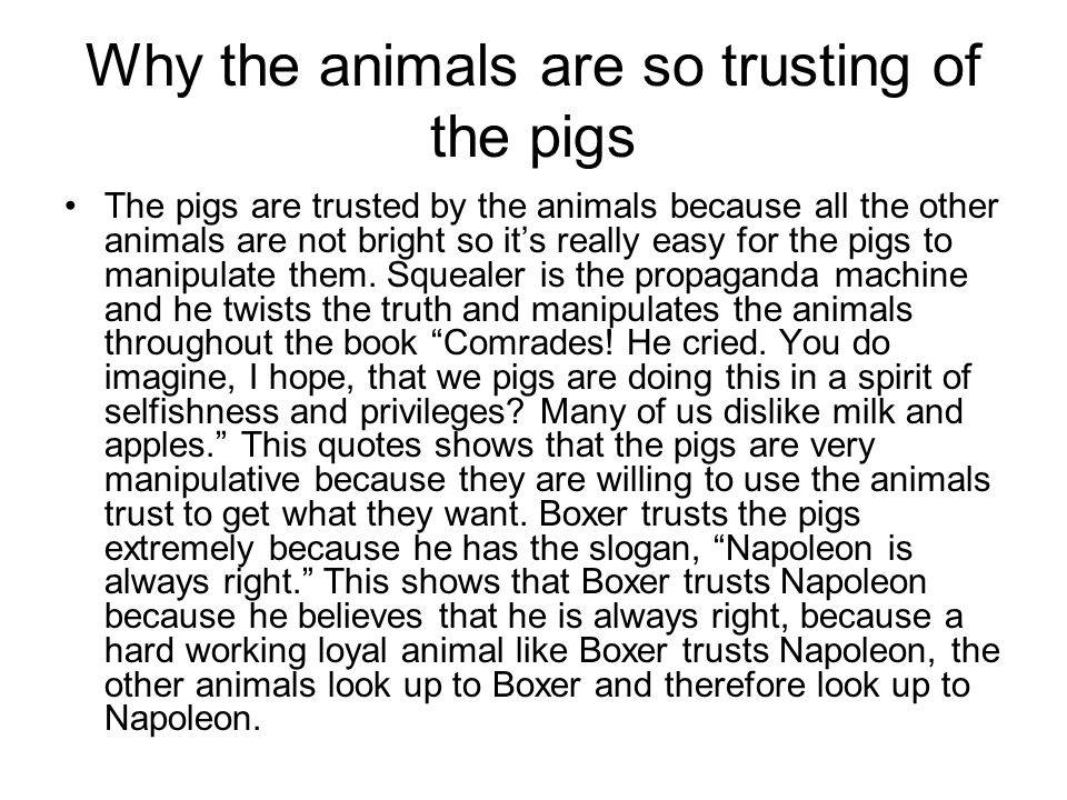 Propaganda essay for animal farm