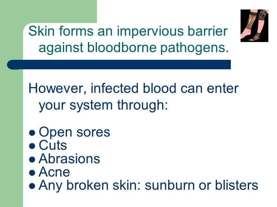 Skin forms an impervious barrier against bloodborne pathogens.