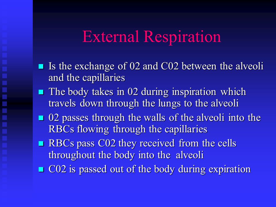 Types of Respiration External External Internal Internal