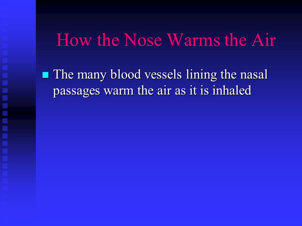 How the Nose Filters the Air Cilia are tiny hairs lining the nose, nasal passages, larynx and trachea Cilia are tiny hairs lining the nose, nasal passages, larynx and trachea Cilia become finer the further into the body they go Cilia become finer the further into the body they go Cilia trap inhaled particles which are ejected from the body when you sneeze, cough or blow your nose Cilia trap inhaled particles which are ejected from the body when you sneeze, cough or blow your nose Mucous Membranes contain mucous secreting cells They line the nasal passages, larynx and trachea They work with cilia to trap inhaled particles and bacteria which are ejected when you cough or swallow
