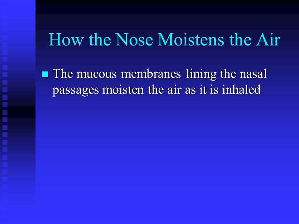 How the Nose Warms the Air The many blood vessels lining the nasal passages warm the air as it is inhaled The many blood vessels lining the nasal passages warm the air as it is inhaled