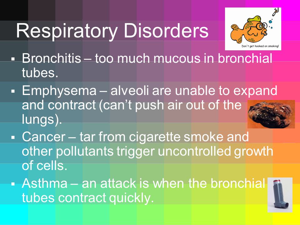 Respiratory Disorders  Bronchitis – too much mucous in bronchial tubes.