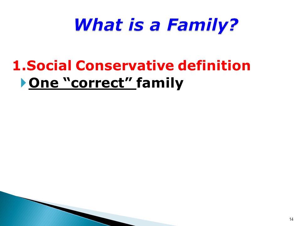14 What is a Family 1.Social Conservative definition  One correct family