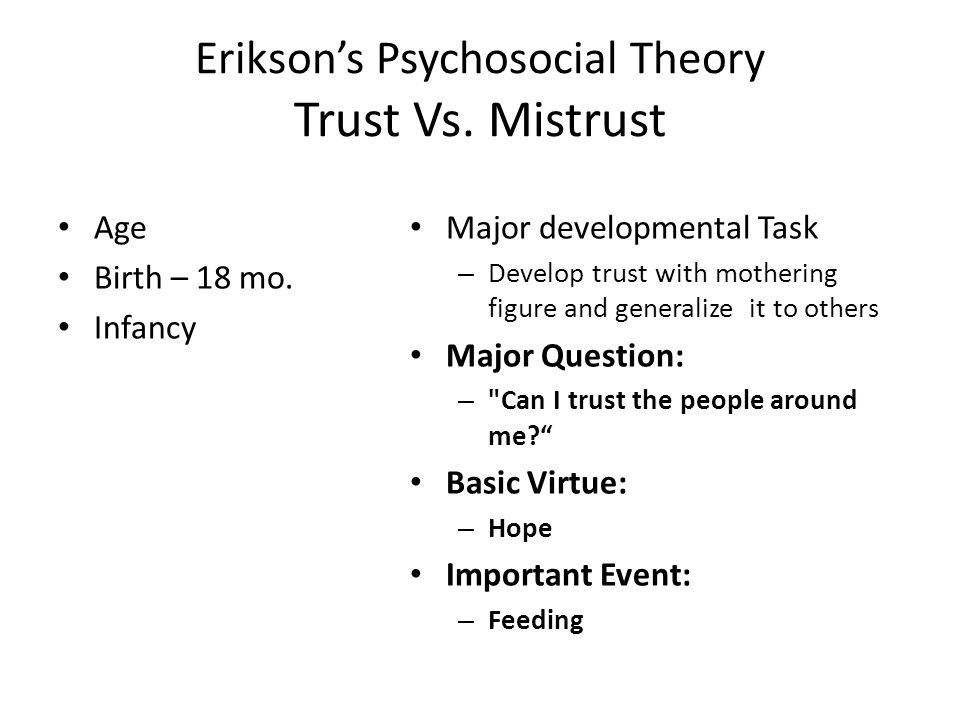trust essay questions trust essay questions