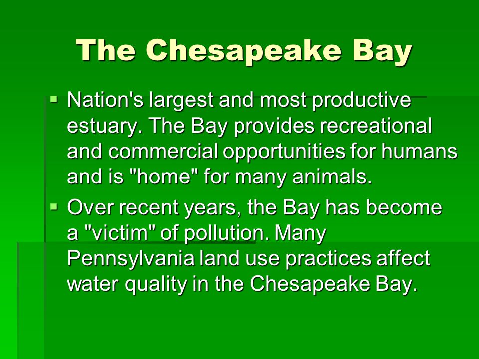 The Chesapeake Bay  Nation s largest and most productive estuary.