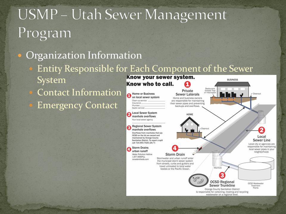 Organization Information Entity Responsible for Each Component of the Sewer System Contact Information Emergency Contact
