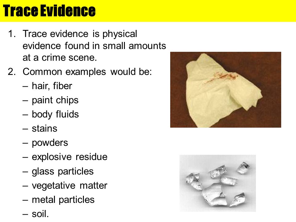 trace evidence