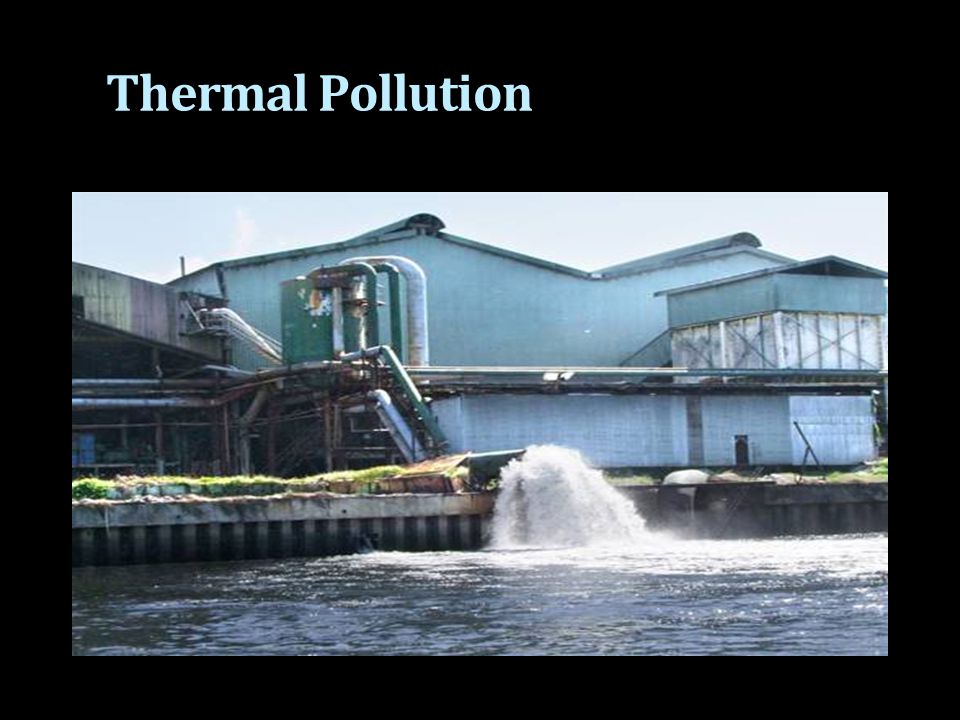 Thermal Pollution in Water