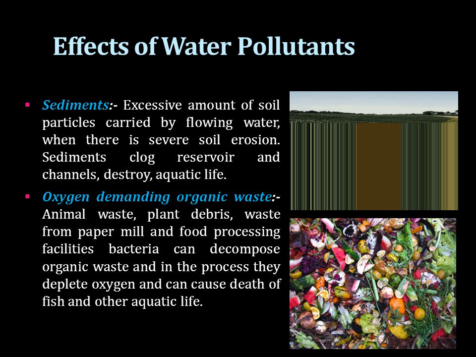 Water Pollution Research Paper
