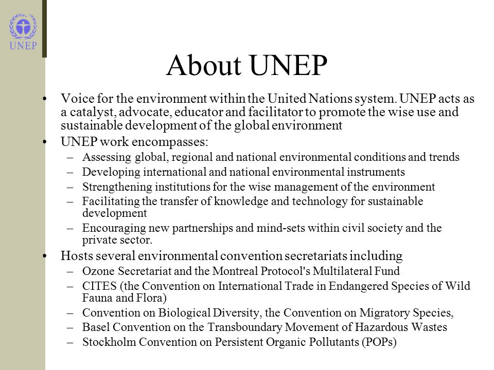 About UNEP Voice for the environment within the United Nations system.